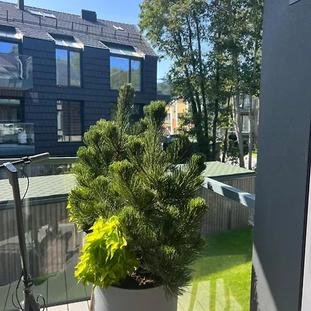 Vanagupes Sauleti Apartamentai Pusyne Palanga