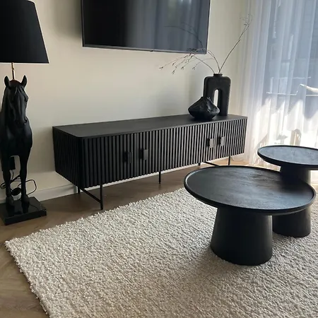 Vanagupes Sauleti Apartamentai Pusyne