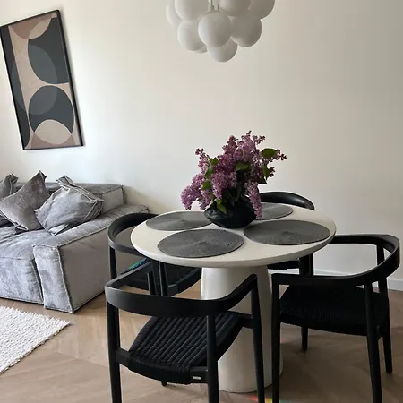 Vanagupes Sauleti Apartamentai Pusyne Palanga