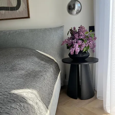 Vanagupes Sauleti Apartamentai Pusyne Apartment