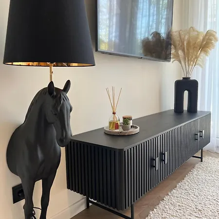 Vanagupes Sauleti Apartamentai Pusyne Palanga